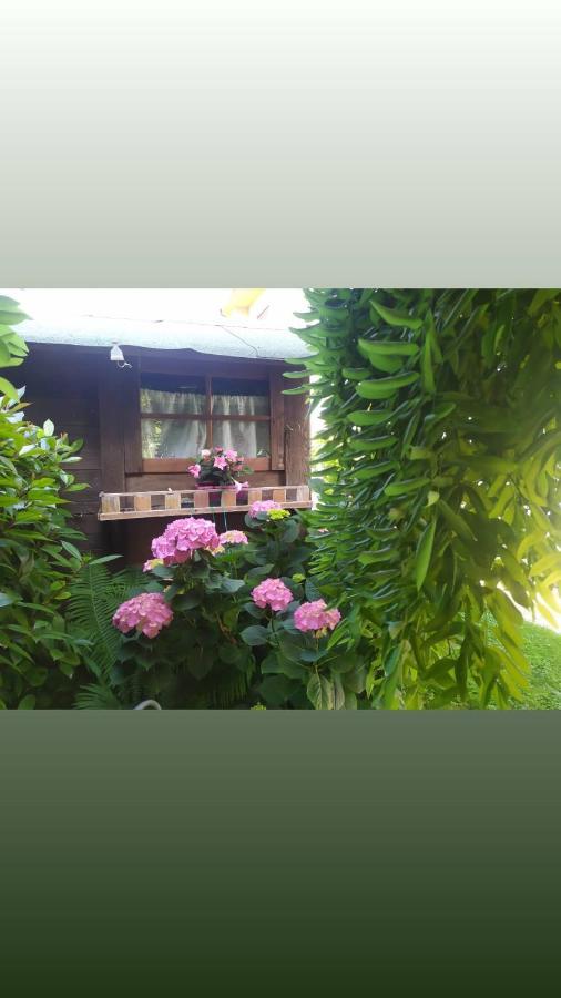 Al Casale B&B Casalserugo Luaran gambar