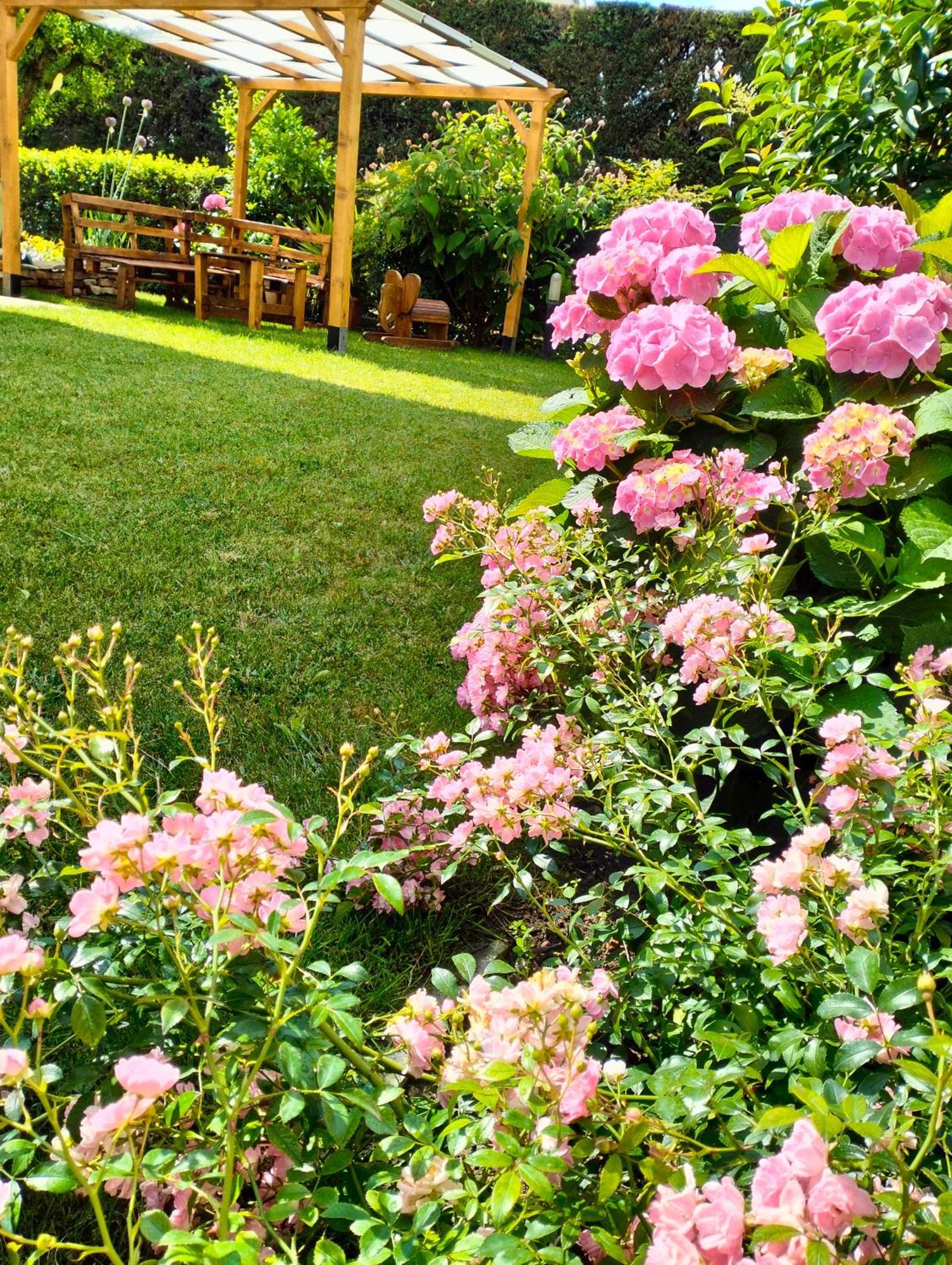 Al Casale B&B Casalserugo Luaran gambar